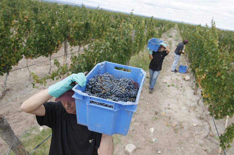  Pemerintah Argentina berhenti menaikkan pajak atas anggur dan anggur bersoda