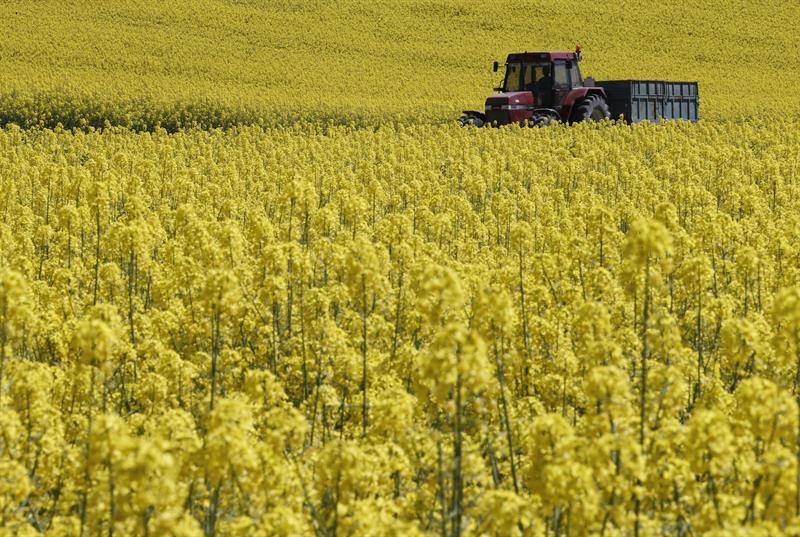  Spanyol, negara keempat yang memberikan kontribusi terbesar terhadap produksi pertanian UE pada 2016